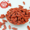 Dried Wolfberry Goji Berry Red Fruit
